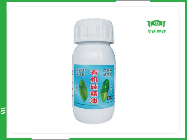 有機硅精油